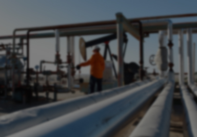 環境稽查與執法