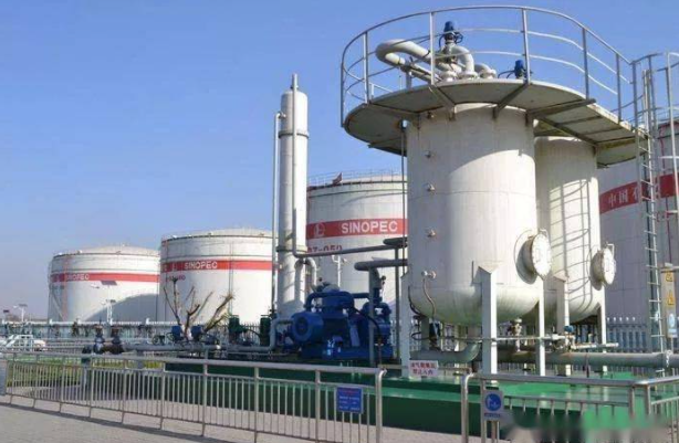 1646622943392837.png 8.png